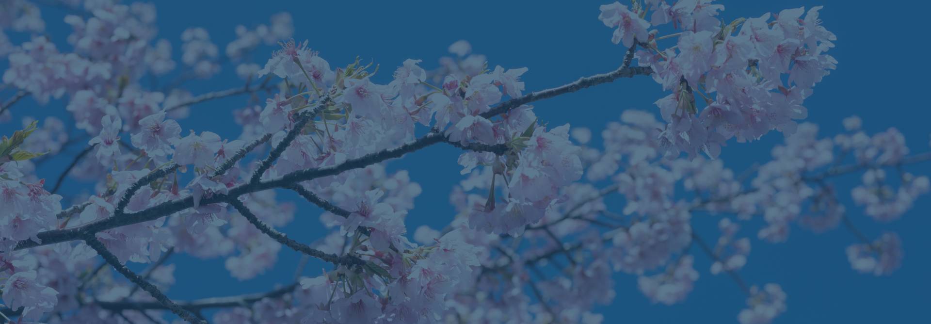 Here, we listen, evaluate, and treat with care to support your healing journey.