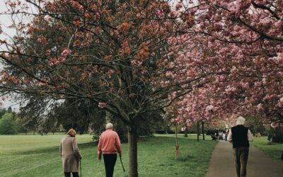 Restoring Balance in the Body – Helping Seniors Regain Stability and Confidence